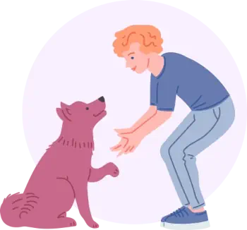 Эффект