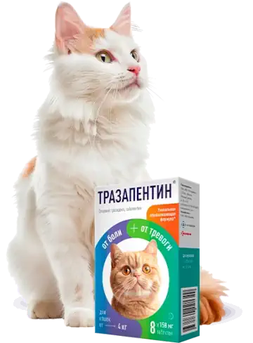 Назначение