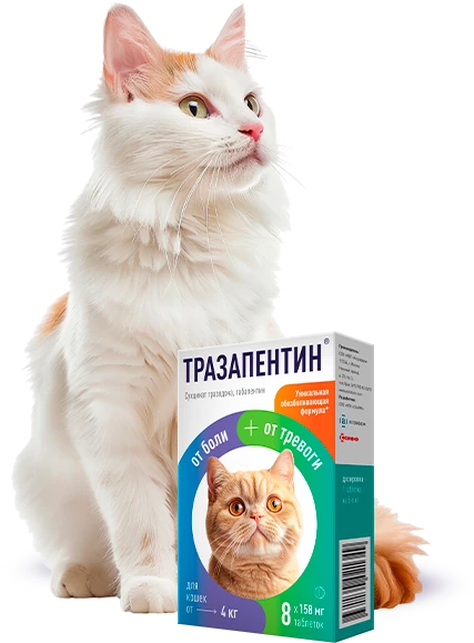 Назначение