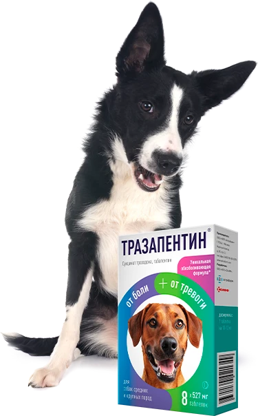 Назначение